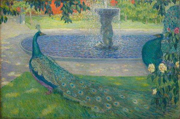 Peacocks at the fountain